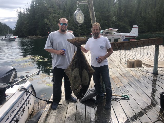This seventy pound Halibut was landed by a father/son combo fishing offshore