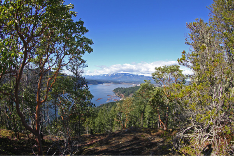Port Alberni’s backyard has perfect boredombusting hikes by Ellie
